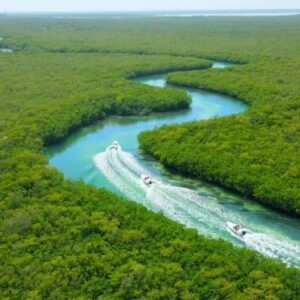 excursion cancun jungle tour