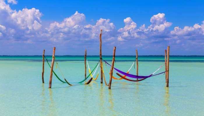 holbox tours tribu