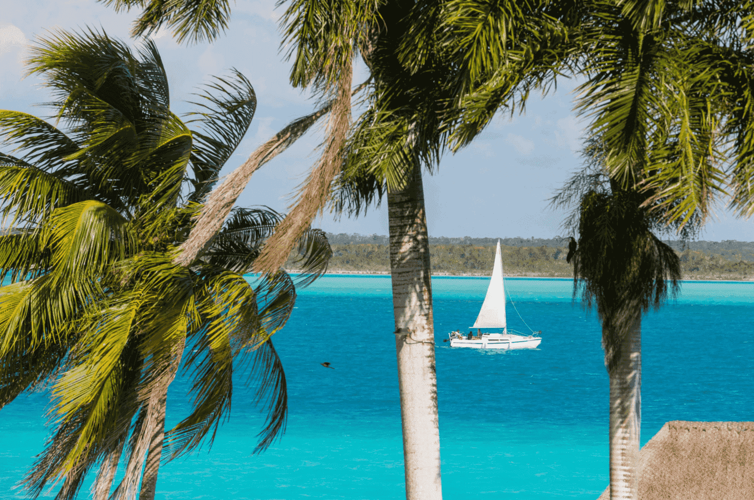 paseo en velero bacalar