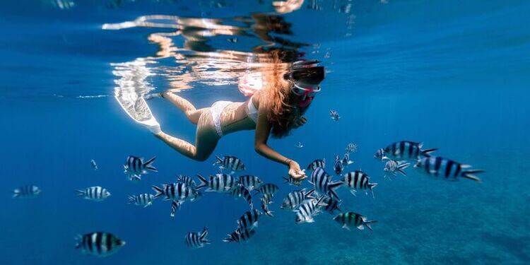 snorkel arrecife cancun