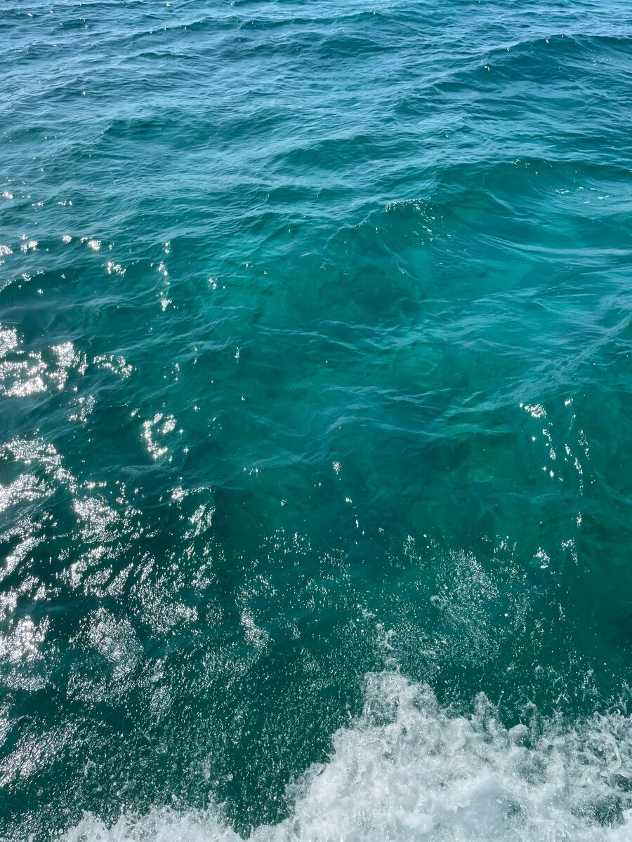 tour clearboat cozumel