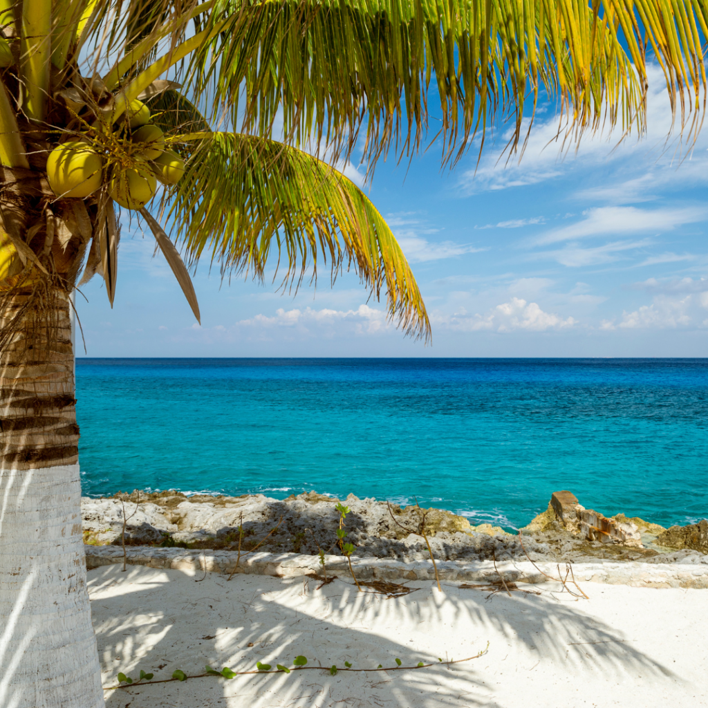 tnt cozumel destinos